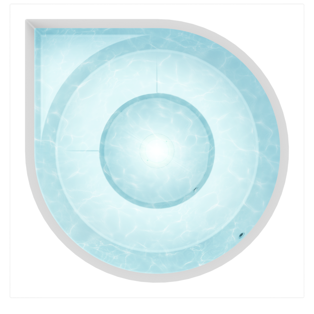 Pisara