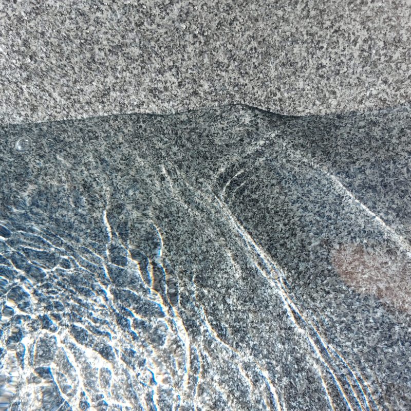 Liner Elbe Pearl