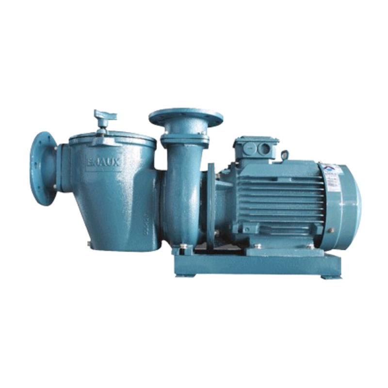 Pompa profesionala piscine publice seria SE 5,5 CP debit maxim 75mc/h