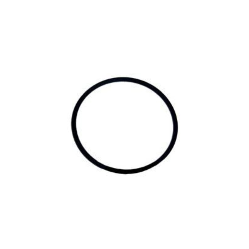 Inel, o-ring flansa pompa Pentair Sta-Rite 5P6R/5MPR RU9374