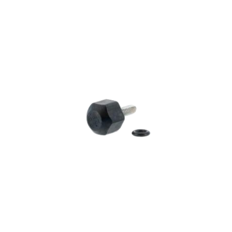 Surub blocare rotor, turbina Pentair Swimmey R373376081